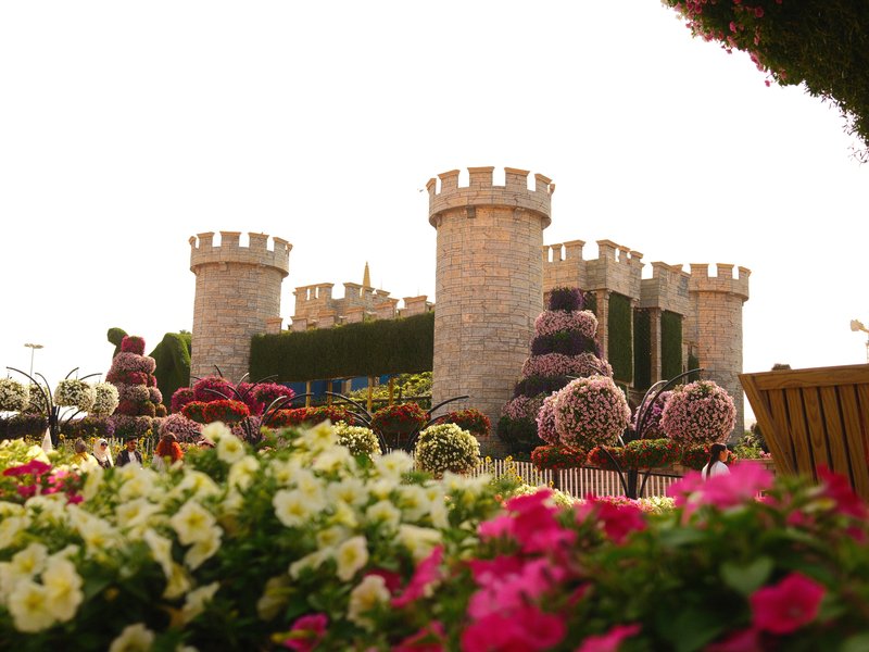 Colorful flowers in the foreground with a stone castle in the background under a bright sky.