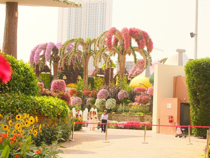 A vibrant garden filled with colorful flowers and palm trees under bright sunlight.