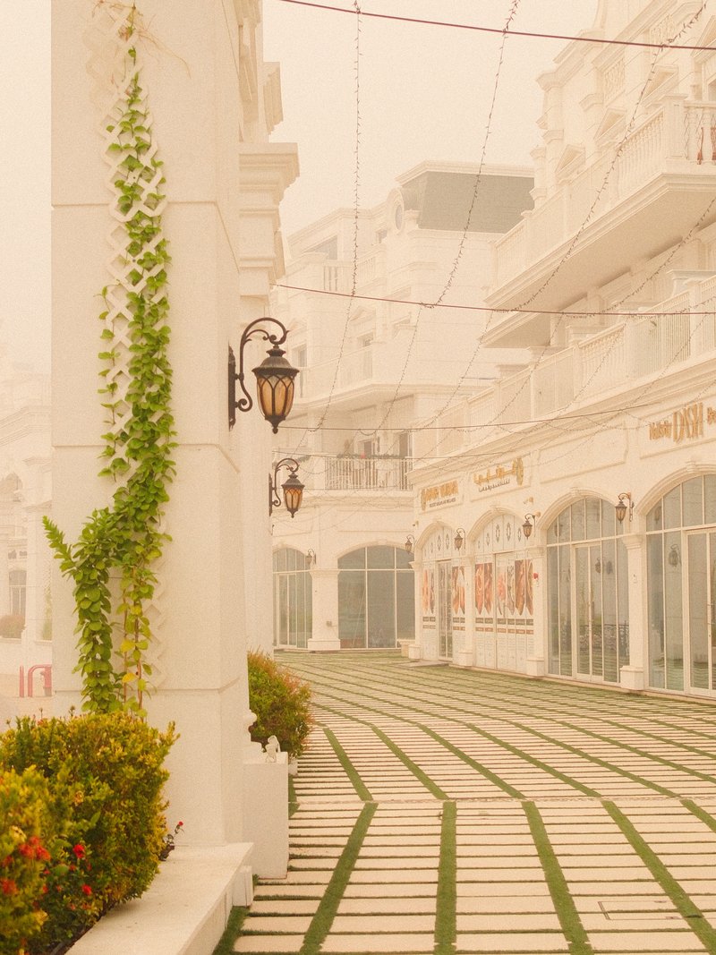 A misty street scene with white buildings and green vines along the columns, creating a serene atmosphere.