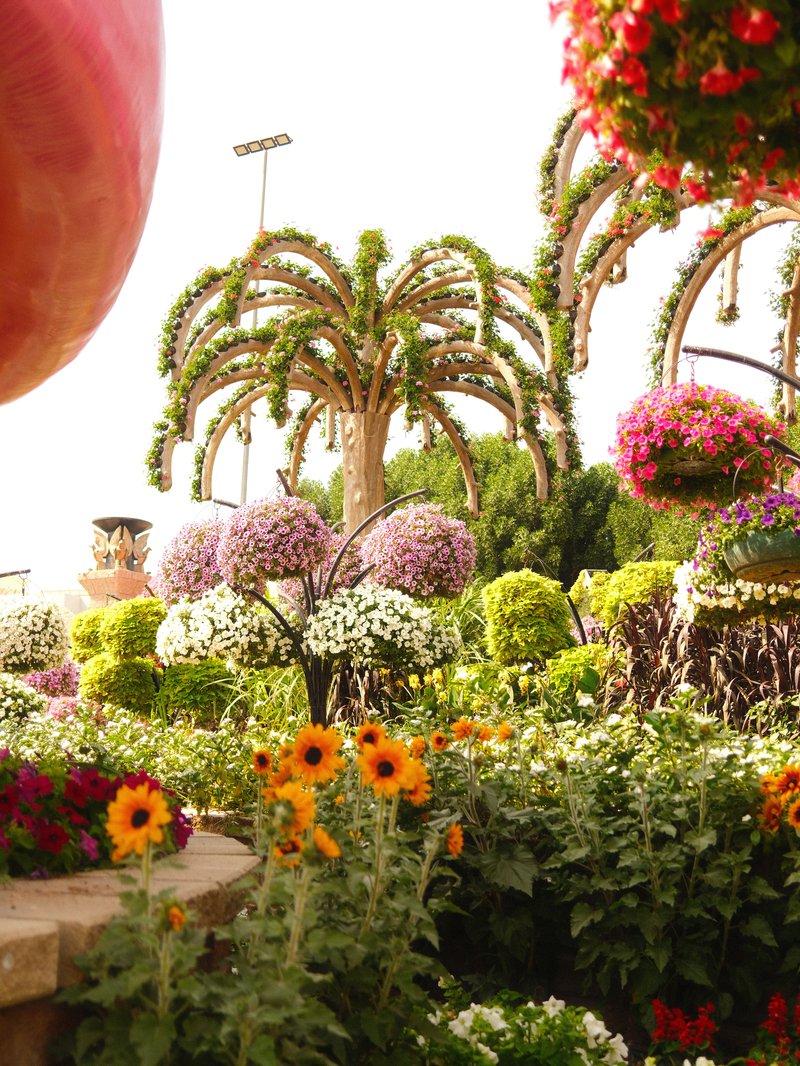 Vibrant garden filled with colorful flowers, decorative trees, and lush greenery under bright sunlight.