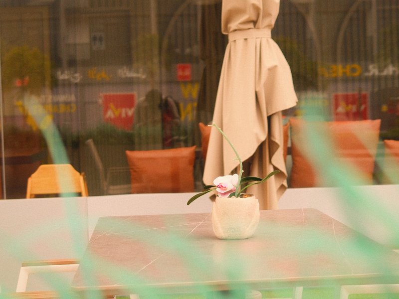 A table with a potted plant and a folded umbrella in a cafe setting, with soft colors and blurred background.