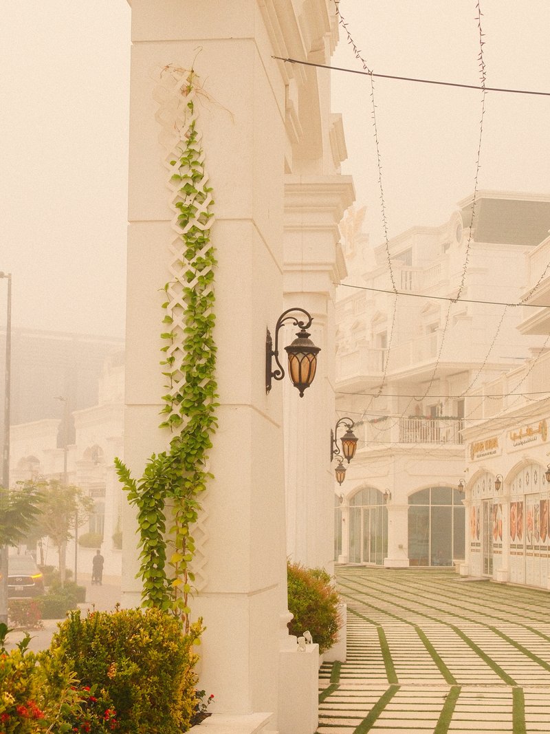 A misty street scene featuring white columns, creeping vines, and soft lighting.
