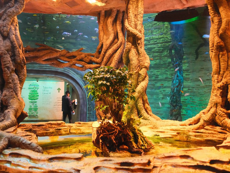 Indoor aquarium scene featuring large tree-like structures and a small plant in the center.