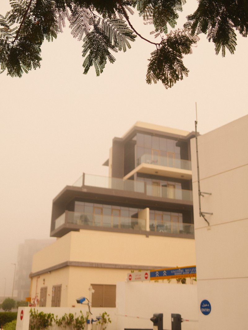 Modern building partially obscured by fog, with greenery in the foreground.