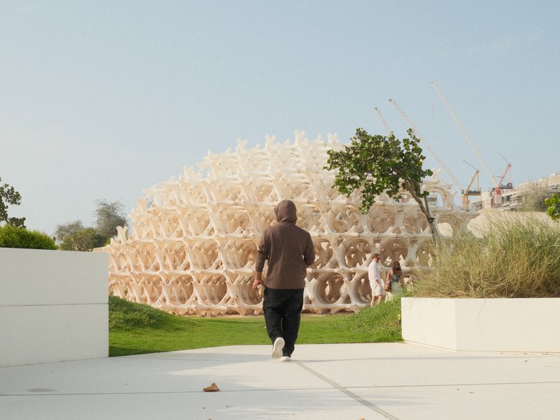 A person walking away from a large, dome-shaped structure in a park with greenery and blue sky.