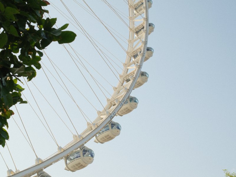 Close-up of a ferris wheel against a clear sky, with green leaves in the foreground.