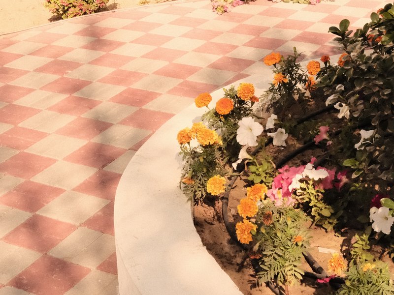A close-up view of a patterned tiled pathway with colorful flowers along the edge.