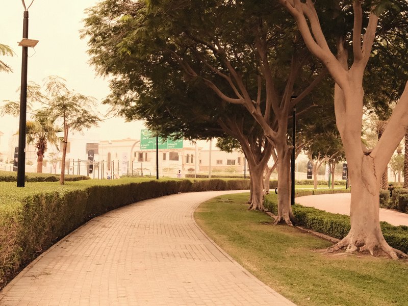 Curved pathway lined with trees and hedges in a park setting.