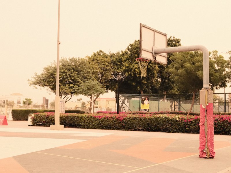 A basketball hoop in a park with a hazy sky and trees in the background.