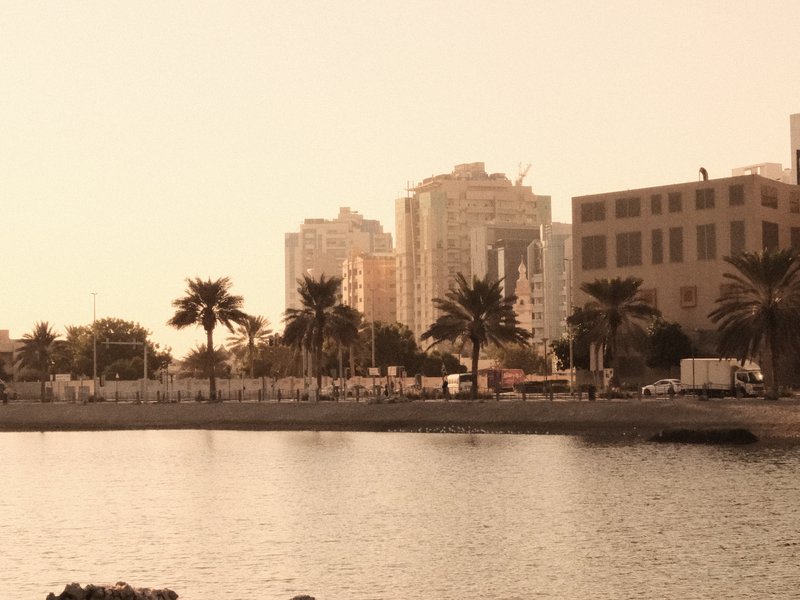 City skyline with palm trees and water in the foreground, bathed in warm, soft light.