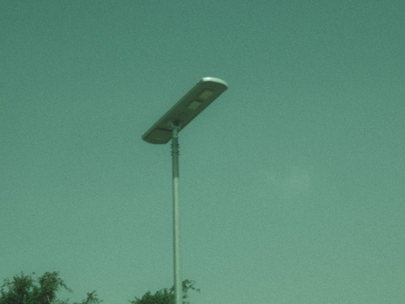 A tall streetlight against a pale sky, with a hint of greenery at the bottom.