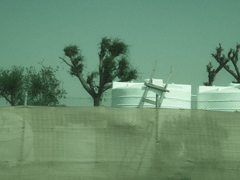 A hazy landscape featuring trees and large white containers against a muted background.