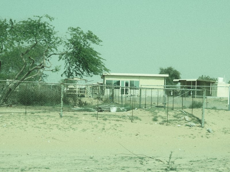 A distant view of a small house surrounded by sparse vegetation and a sandy landscape.