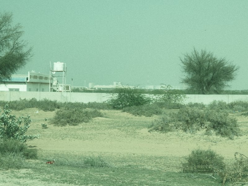 A sparse desert landscape with low shrubs and a distant building under a hazy sky.