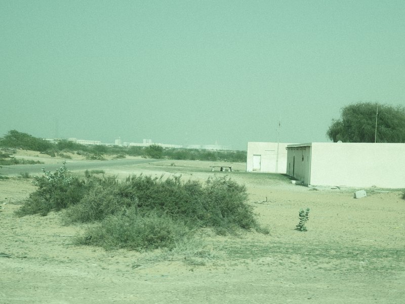 A desolate landscape featuring a small white building and sparse vegetation under a pale green hue.