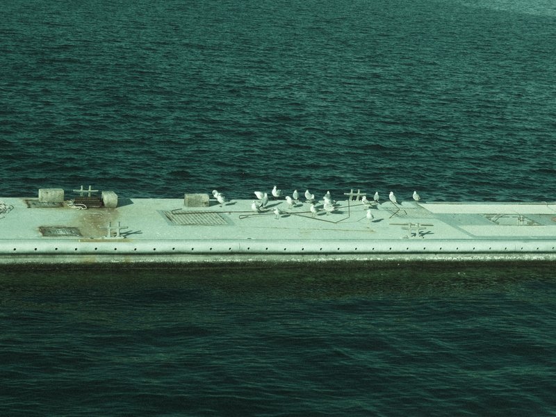 A group of seagulls resting on a concrete platform over calm water.
