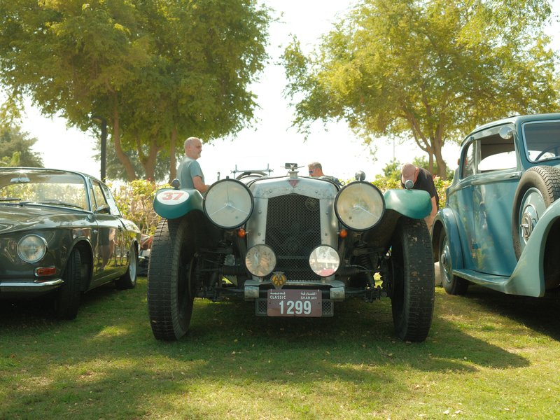 Classic cars displayed in a grassy area with trees in the background under bright sunlight.
