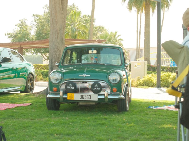 A vintage green car parked on grass with palm trees in the background under bright sunlight.