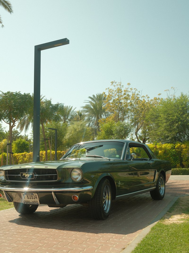 A classic green Mustang parked on a sunny day in a landscaped area with palm trees.