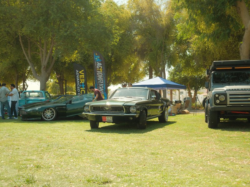Classic cars displayed on grass with trees and tents in the background.