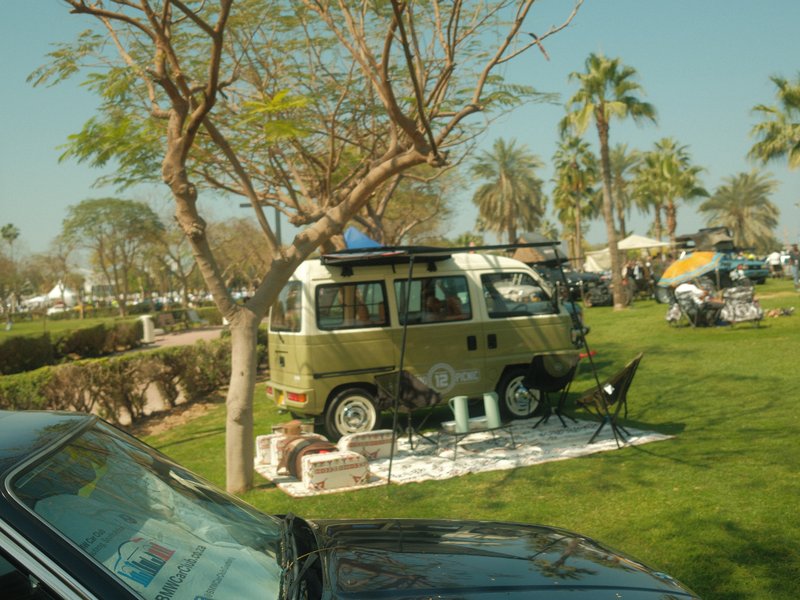 A vintage van parked on a grassy area surrounded by palm trees and a clear blue sky.