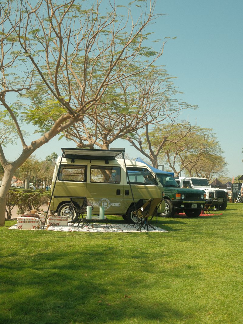 A vintage green camper van parked on a grassy area with trees and other vehicles in the background.