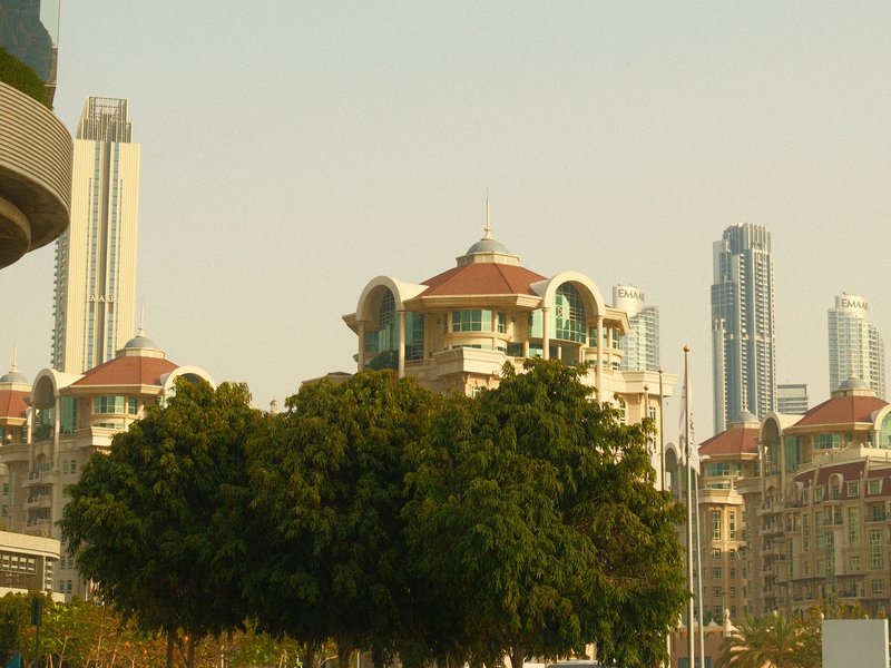 Cityscape featuring modern buildings and a large tree in the foreground under a hazy sky.