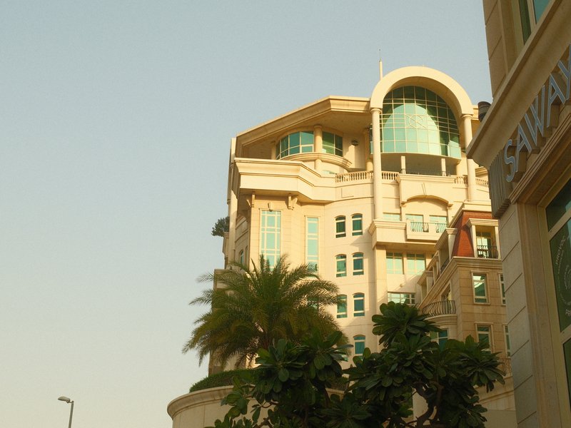 A modern building with a curved roof and large windows, surrounded by palm trees under a clear sky.