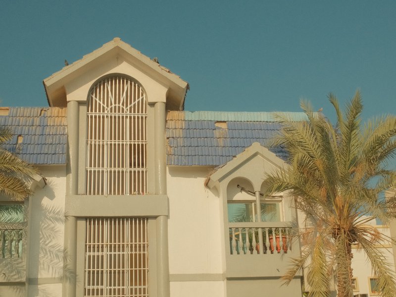 A modern building with a blue tiled roof and palm trees against a clear sky.