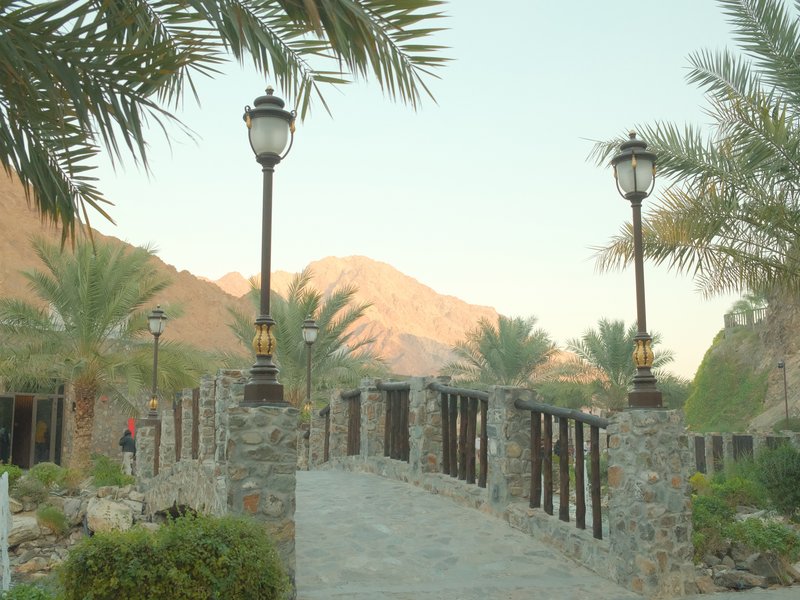 A stone bridge with palm trees and mountains in the background, illuminated by street lamps.