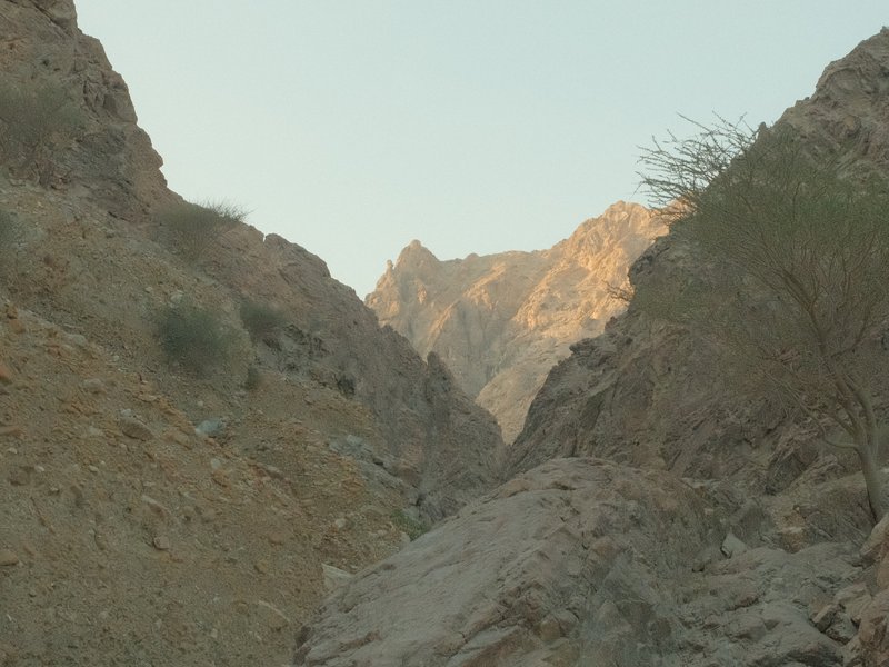 Narrow canyon with rocky walls and a distant mountain peak illuminated by soft light.