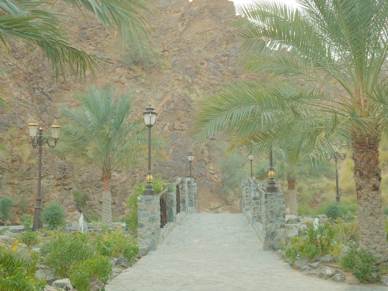 A serene pathway leading through palm trees towards a stone bridge with mountains in the background.