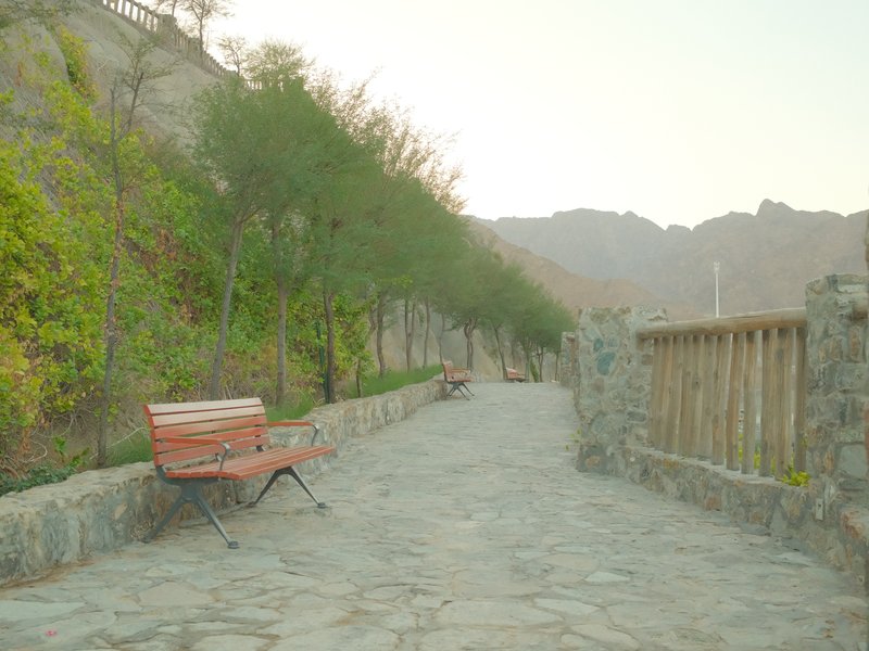 A quiet stone pathway lined with trees and a bench, leading towards mountains in the distance.