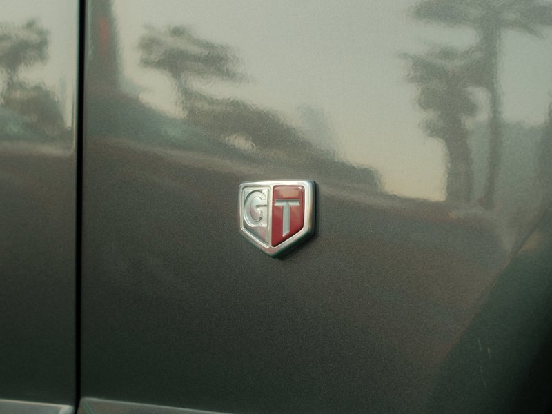 Close-up of a car emblem on a dark vehicle surface with blurred trees in the background.