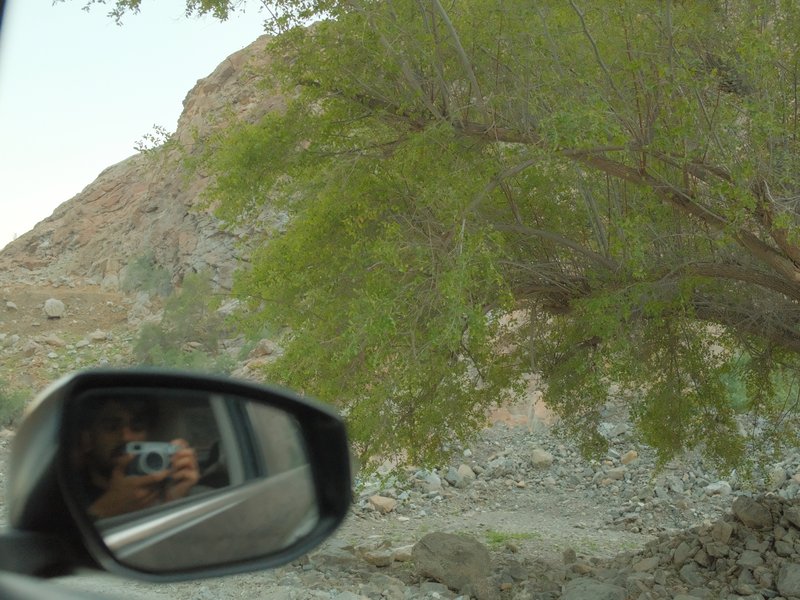 A side mirror reflecting a person taking a photo, with a green tree and rocky terrain in the background.