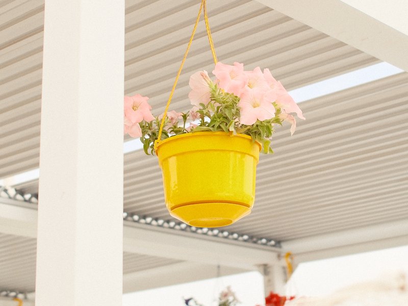 A bright yellow hanging pot with pink flowers against a light background.