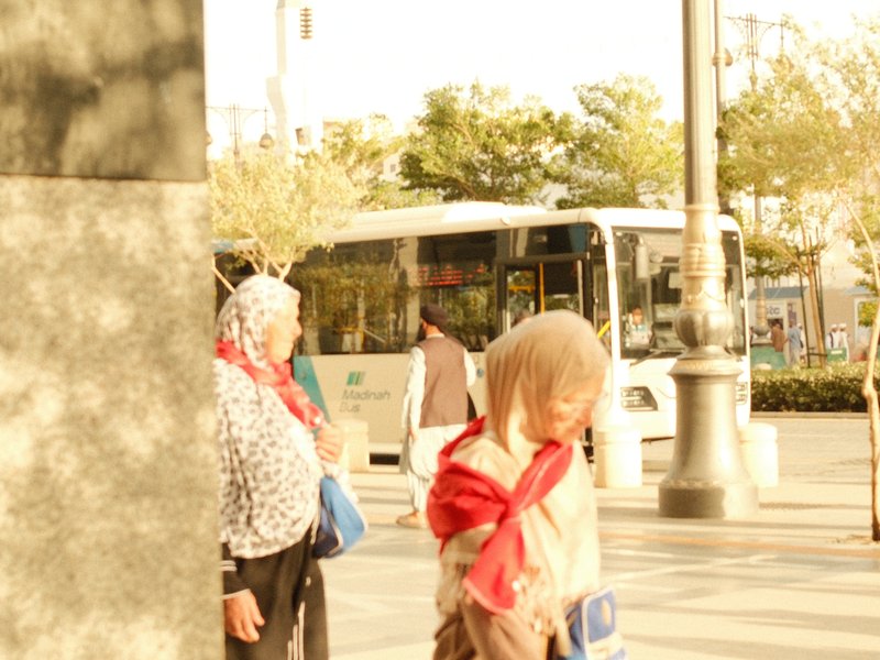Two women in headscarves walking on a city street with a bus in the background and trees lining the sidewalk.