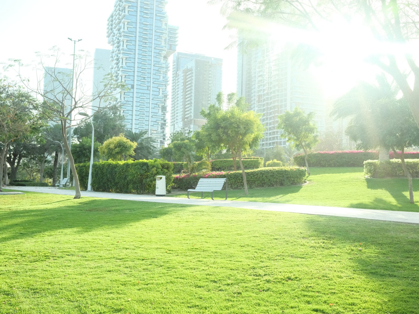 Bright park scene with green grass, trees, and tall buildings in the background under sunlight.