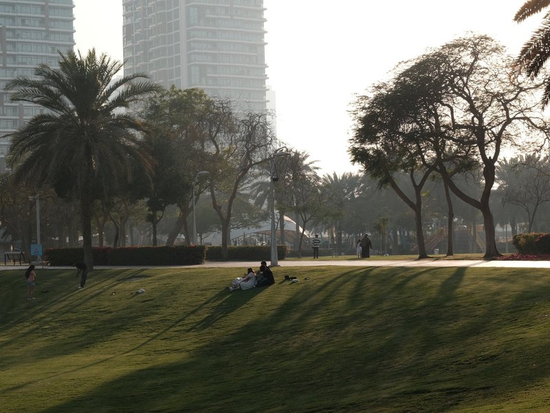 A park scene with palm trees and tall buildings in the background, sunlight casting long shadows.