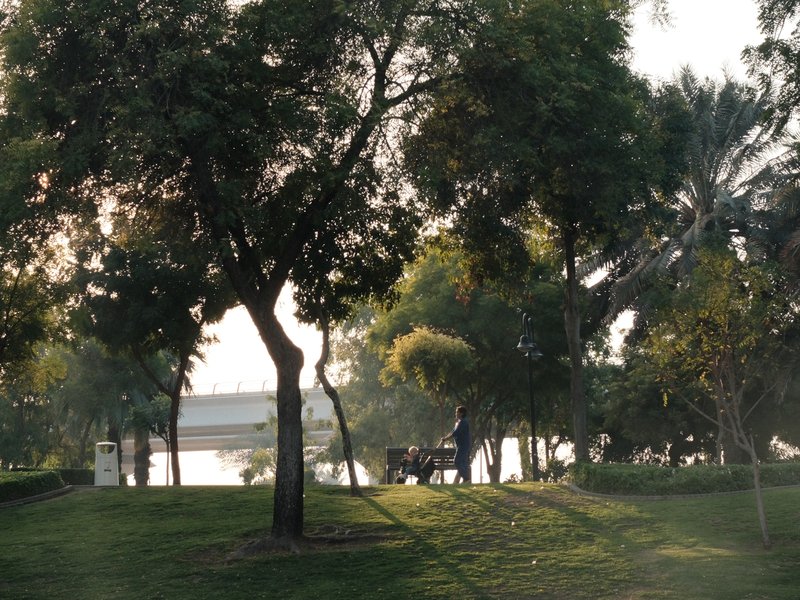 A serene park scene with trees and a person walking near a river in soft light.