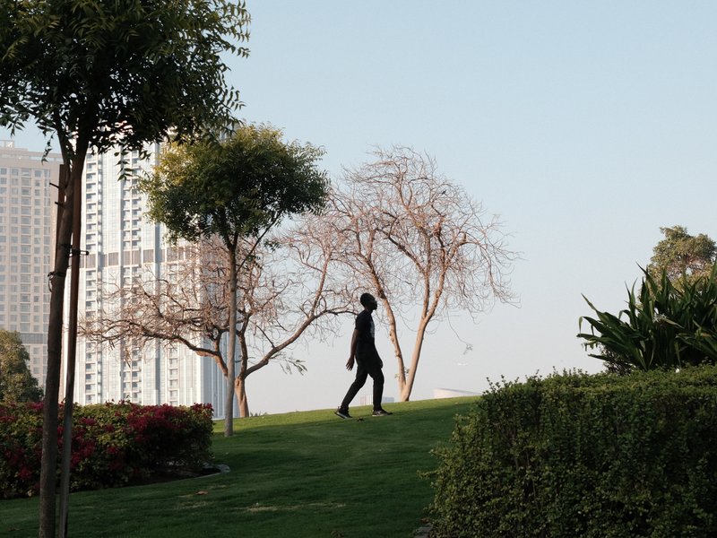 Silhouette of a person walking on a grassy hill with trees and buildings in the background.