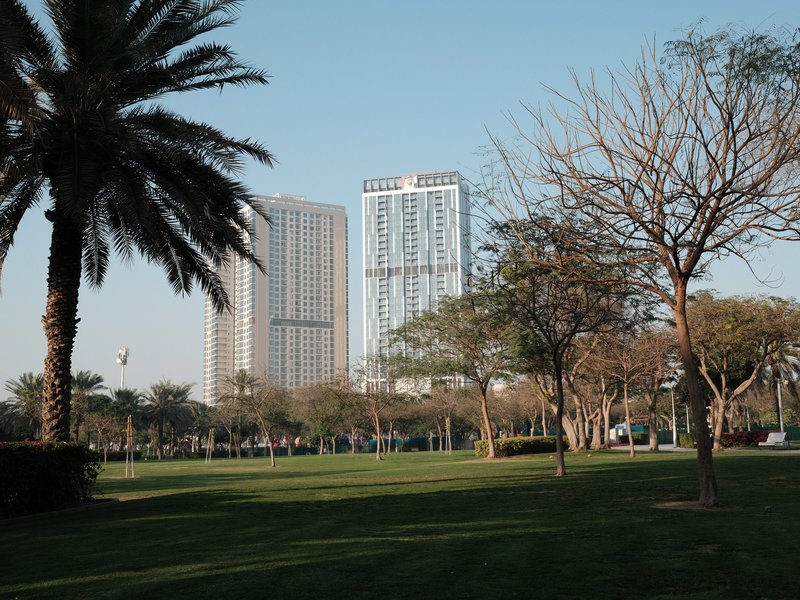 View of tall buildings behind a green park with palm trees and bare branches under a clear blue sky.
