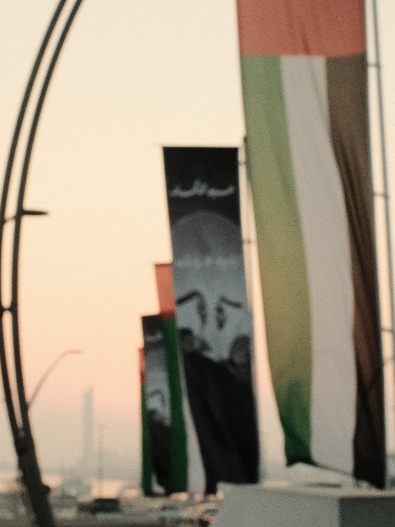 Colorful flags with a skyline in the background during sunset.