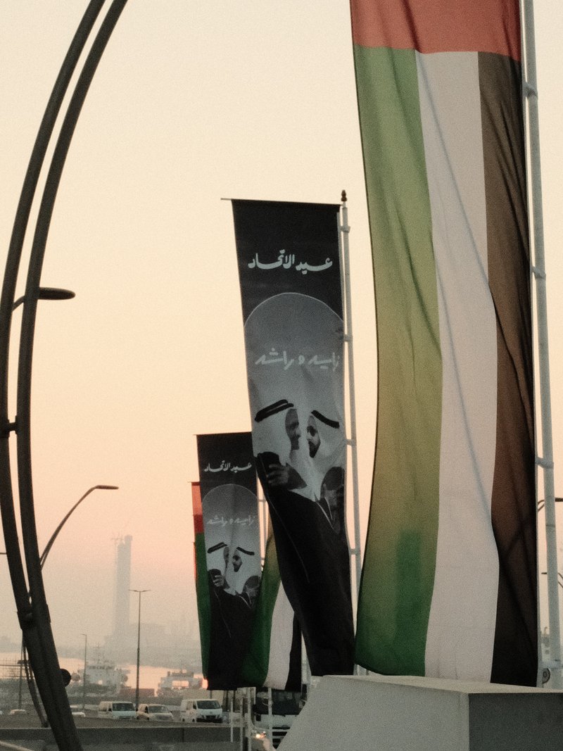 Flags with Arabic text and designs against a soft pastel sky at dusk.