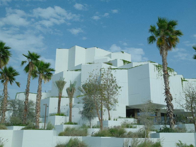 Modern white architectural building surrounded by palm trees under a clear blue sky.