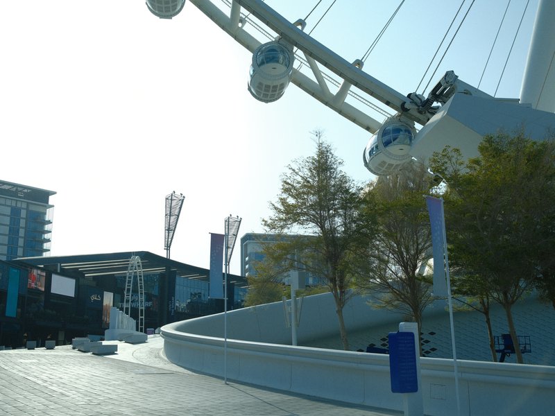 A large observation wheel towers over a modern urban setting with trees and buildings in the background.