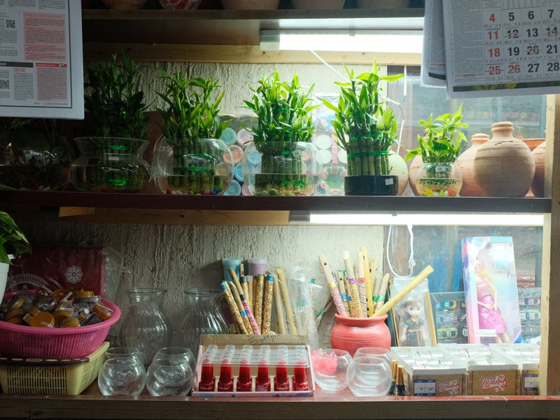 A shelf filled with small potted plants, art supplies, and decorative items in a cozy indoor setting.