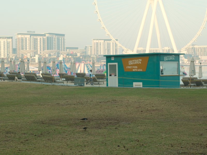 A green kiosk in a park with a ferris wheel and city skyline in the background, early morning light.