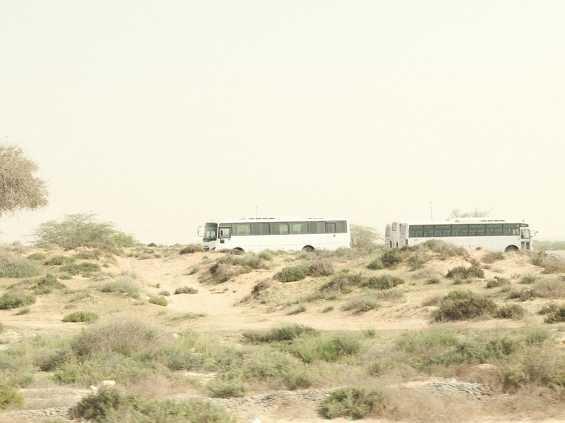 Two white buses parked on a sandy landscape with sparse vegetation under a hazy sky.