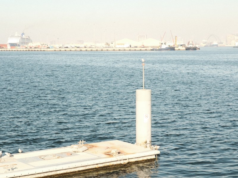 A calm waterfront scene featuring a dock and distant ships under a hazy sky.